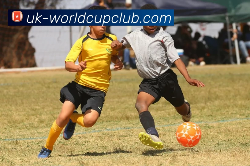 App Interface Preview