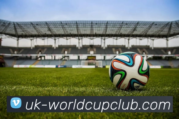 亚洲体育博彩平台APP 封面图